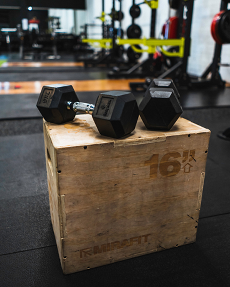 Lorem ipsum, dolor sit amet consectetur adipisicing. Doloribus fuga nam quia volupt