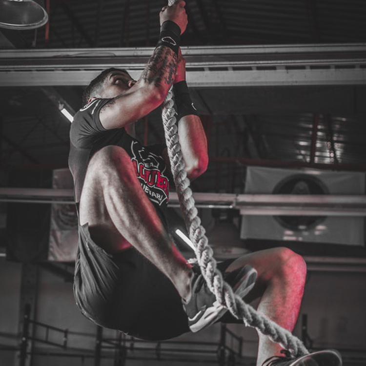 Contenido de ejemplo 2-05