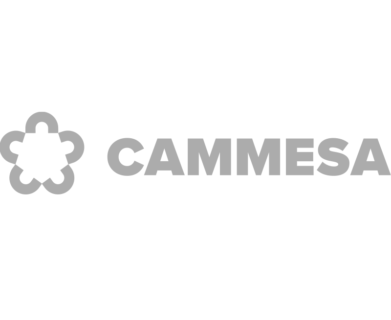 Cammesa