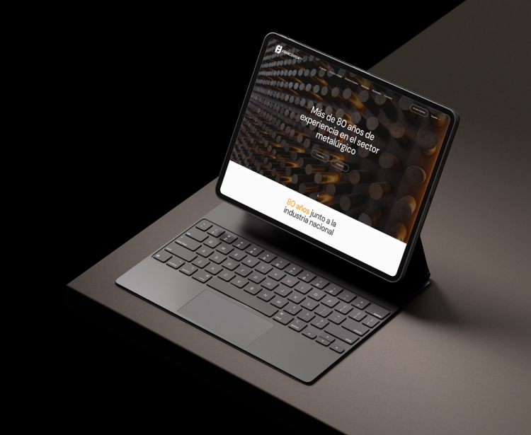 Diseño y desarrollo web a medida para Francovigh